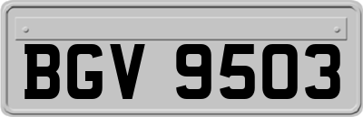 BGV9503