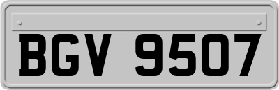 BGV9507