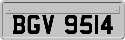 BGV9514