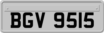 BGV9515