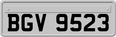 BGV9523