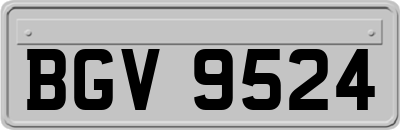 BGV9524