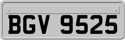 BGV9525