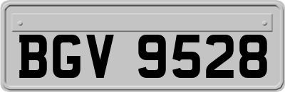 BGV9528