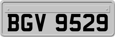 BGV9529