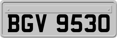BGV9530