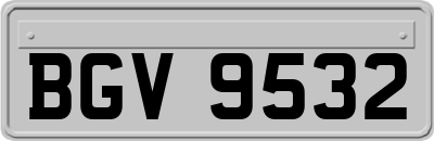 BGV9532
