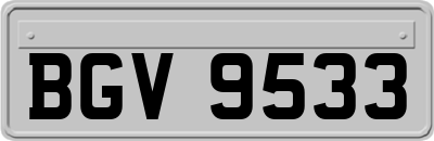 BGV9533