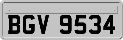BGV9534