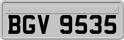 BGV9535