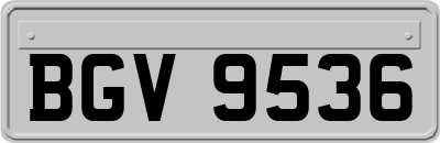 BGV9536