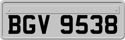 BGV9538