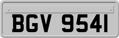 BGV9541