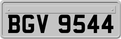 BGV9544