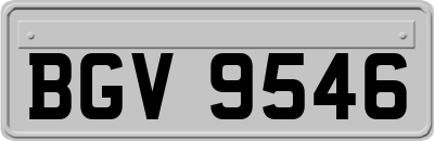 BGV9546