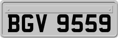 BGV9559