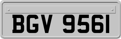 BGV9561