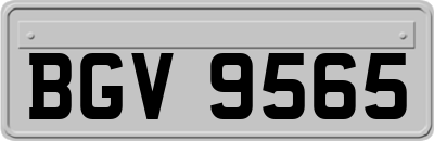 BGV9565