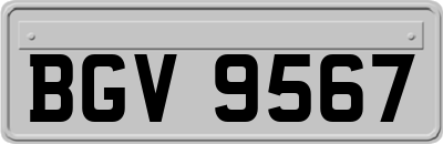 BGV9567