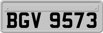 BGV9573