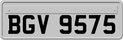 BGV9575