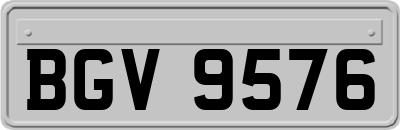 BGV9576