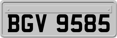 BGV9585
