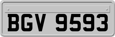 BGV9593