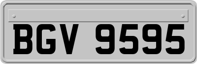 BGV9595