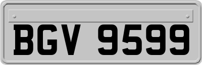 BGV9599