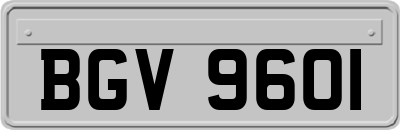 BGV9601
