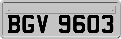 BGV9603