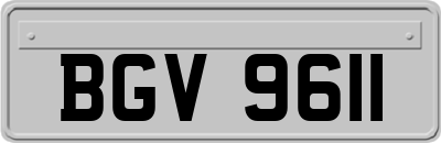 BGV9611