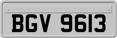 BGV9613