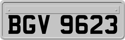 BGV9623