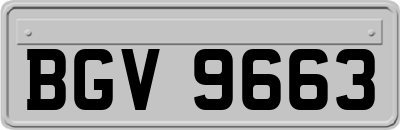 BGV9663