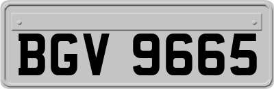 BGV9665