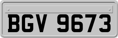 BGV9673