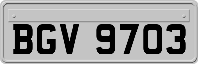 BGV9703
