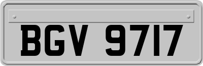BGV9717