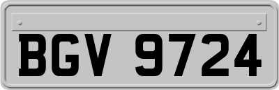 BGV9724