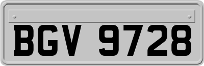 BGV9728