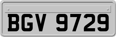 BGV9729