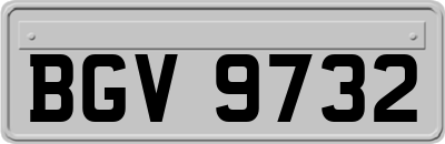 BGV9732