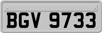 BGV9733