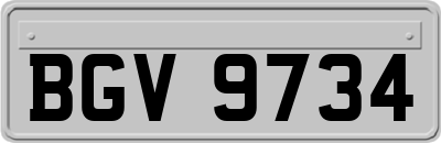 BGV9734