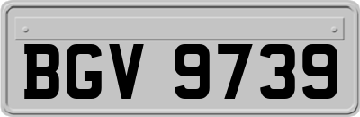 BGV9739