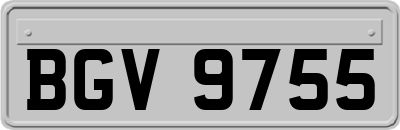 BGV9755