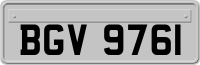 BGV9761