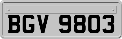 BGV9803